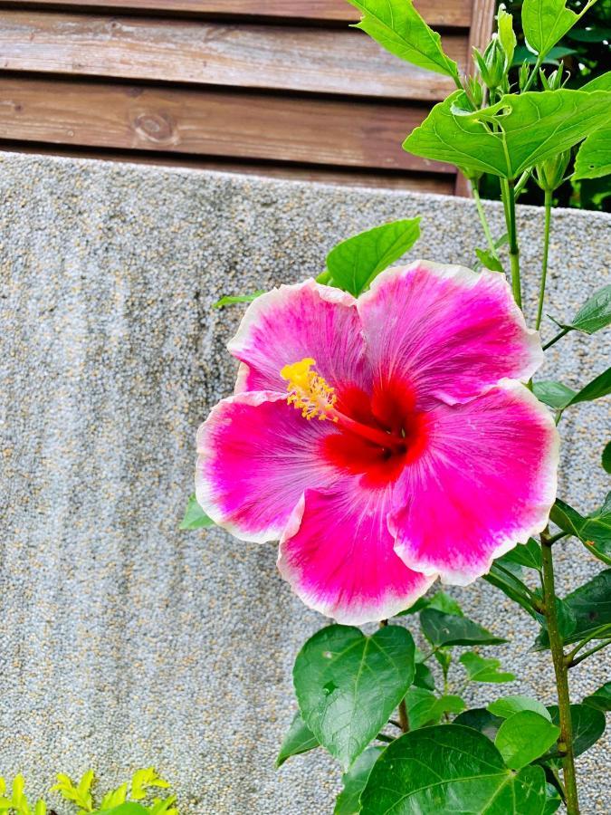 Jifun Flower Meanings Ji’an Zewnętrze zdjęcie